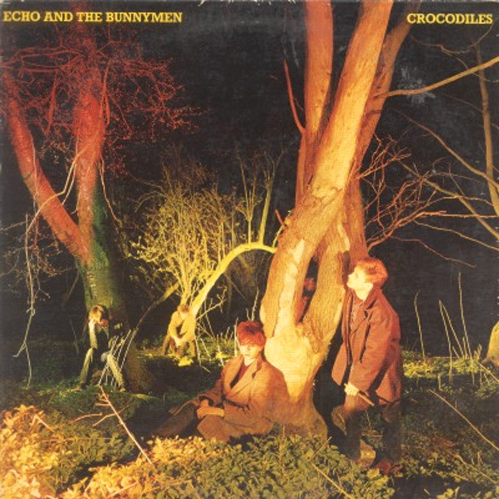 Echo And The Bunnymen – Rescue